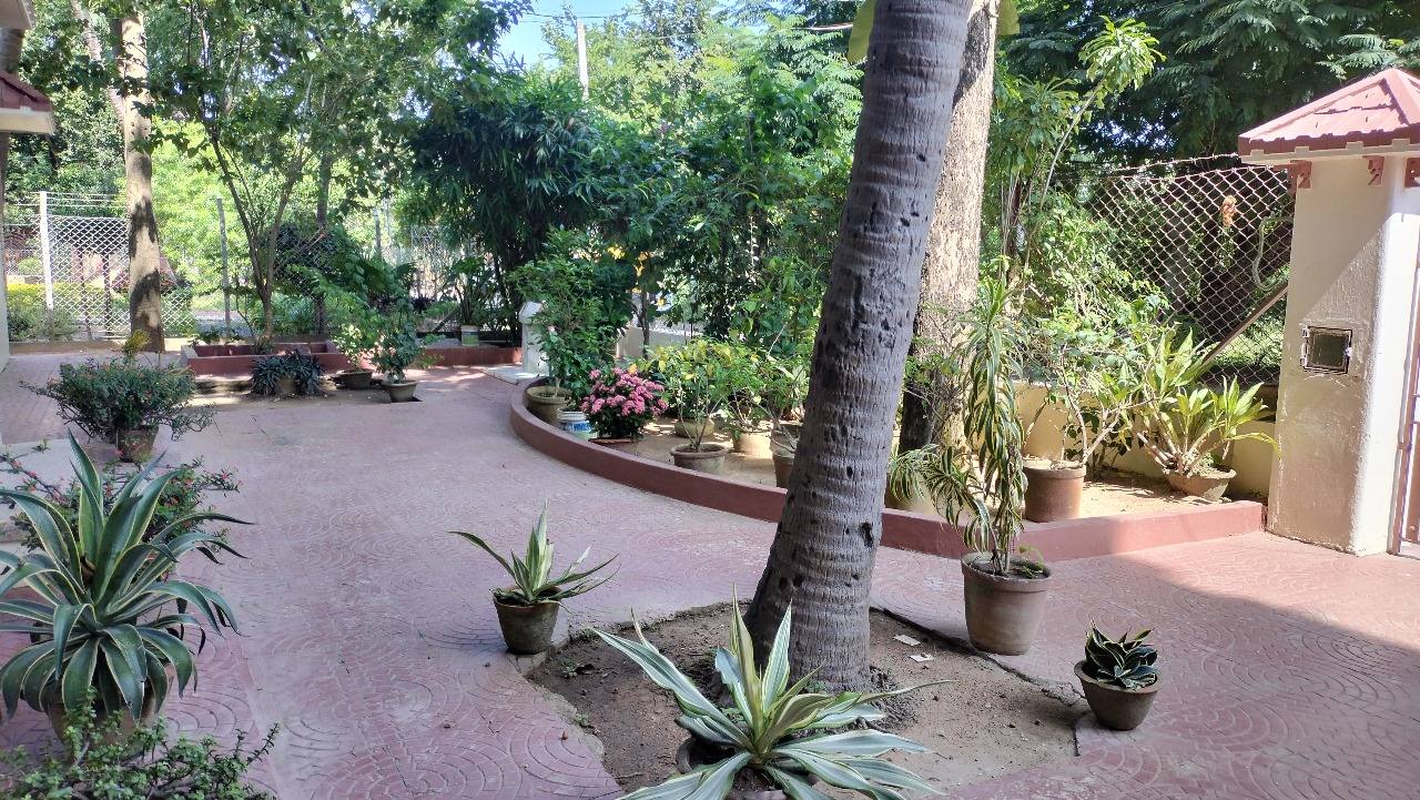 The garden courtyard: red-oxide paving in swirl patterns, terracotta pots of agave and flowering shrubs, a coconut palm and dense green trees.